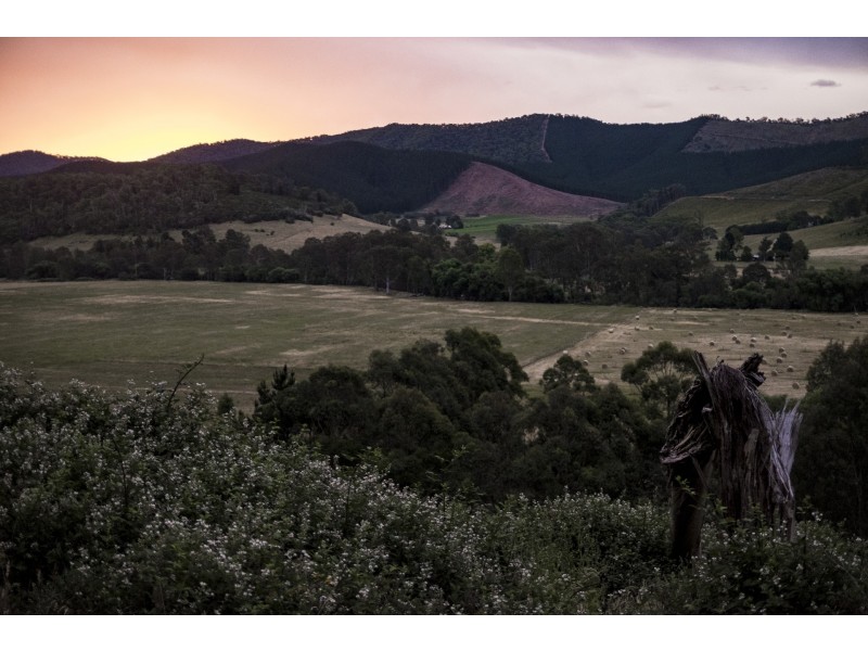 661 Buffalo River Road, Buffalo River VIC 3737