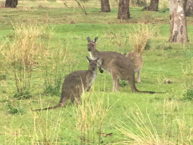 6/174 Paradise Drive, Wirrina Cove SA 5204