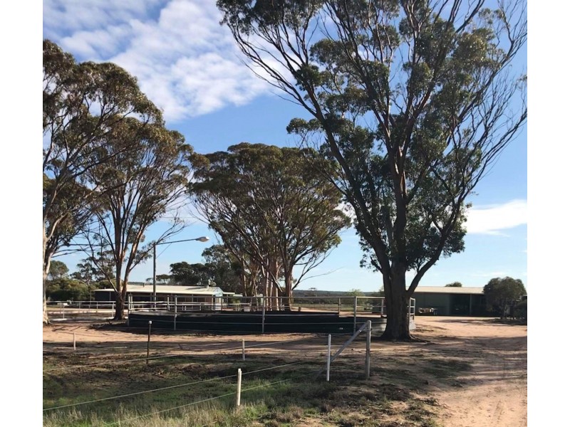 23970 Great Eastern Highway, Merredin WA 6415