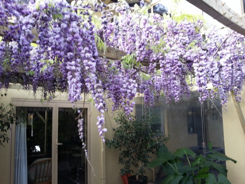 12 Stone Court, Kardinya WA 6163