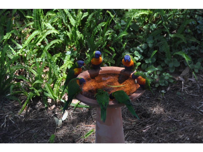 12 Stone Court, Kardinya WA 6163