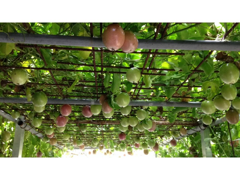 17 Heydon Avenue, Labrador QLD 4215