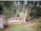 28 Railway Parade, Hazelbrook NSW 2779