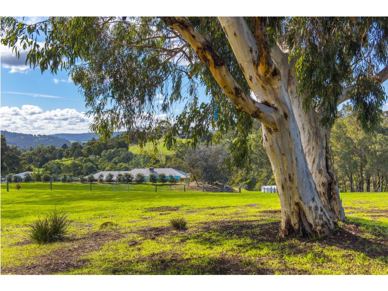 199 Ridgewood Loop, Bullsbrook WA 6084