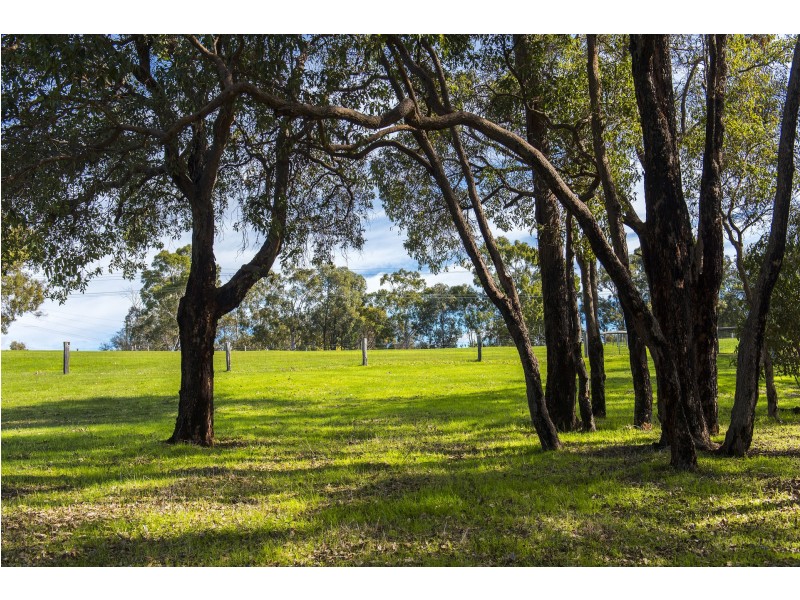 199 Ridgewood Loop, Bullsbrook WA 6084