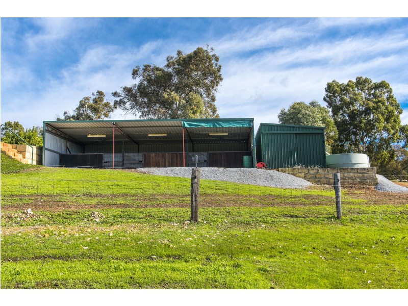 199 Ridgewood Loop, Bullsbrook WA 6084