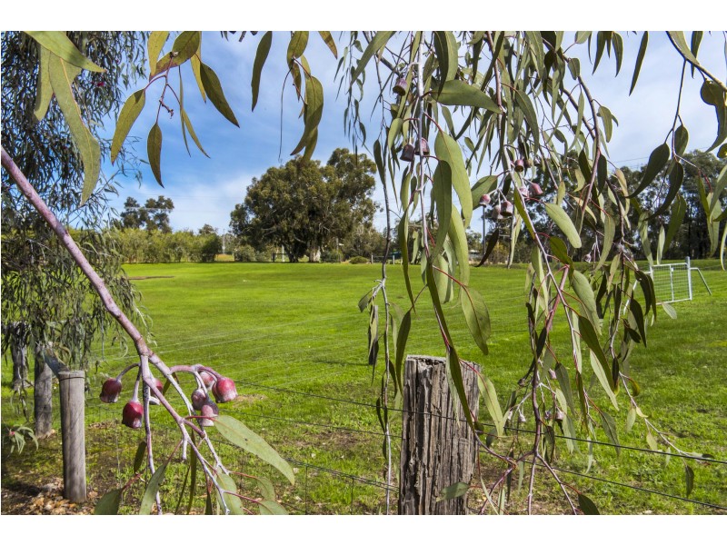 199 Ridgewood Loop, Bullsbrook WA 6084