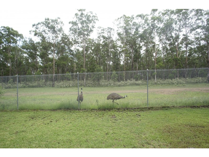 33 Summerfield Circuit, Cambridge Gardens NSW 2747