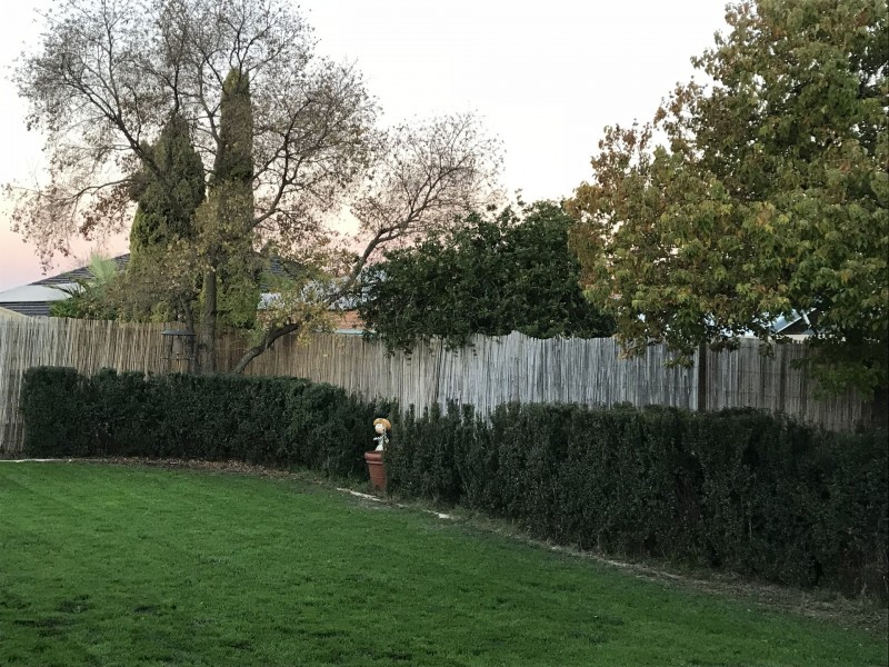 29 Valinco Avenue, Ellenbrook WA 6069