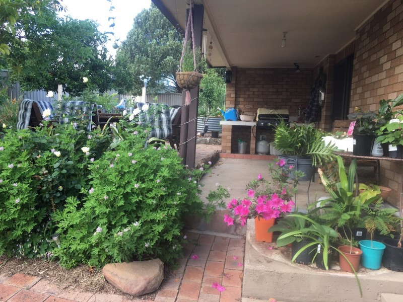 35 Frances Street, Gloucester NSW 2422