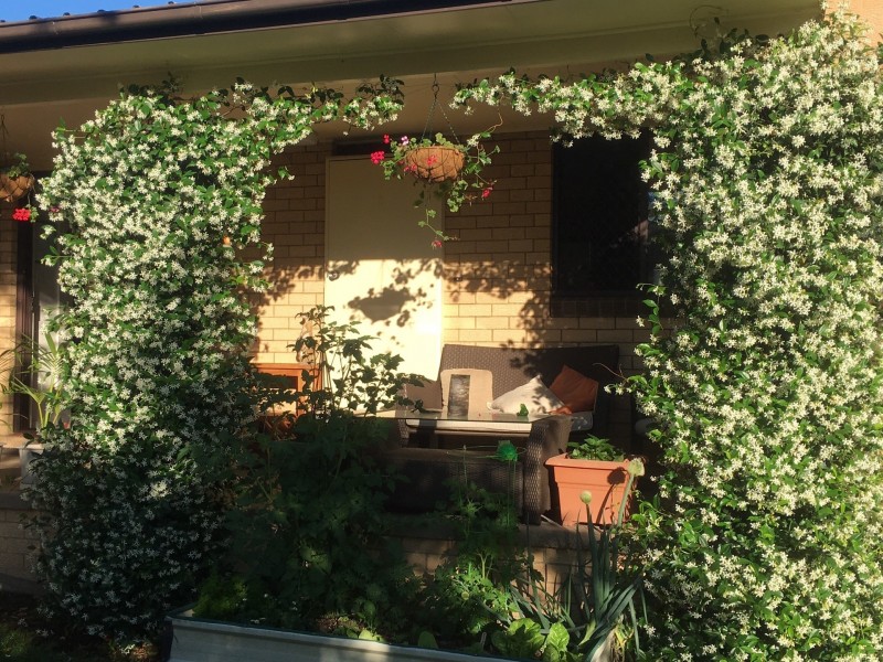 35 Frances Street, Gloucester NSW 2422