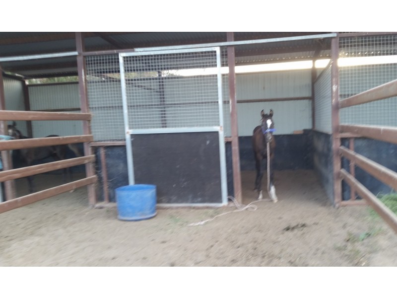 480 Punt Road, Murchison North VIC 3610