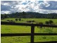 920 Eumundi Kenilworth Road, Belli Park QLD 4562