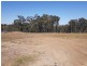 17 (Lot 229) Harvest Rd, Medowie NSW 2318