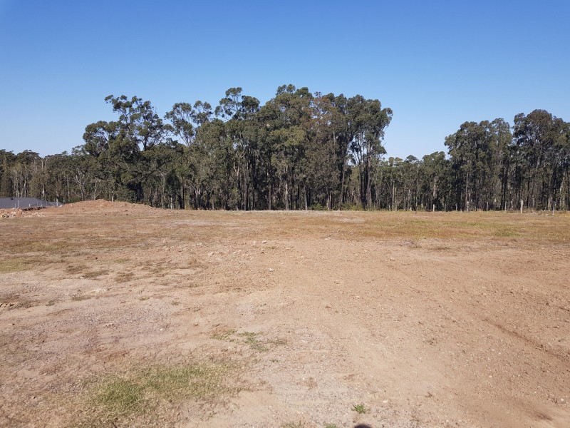 17 (Lot 229) Harvest Rd, Medowie NSW 2318