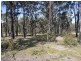 17 (Lot 229) Harvest Rd, Medowie NSW 2318