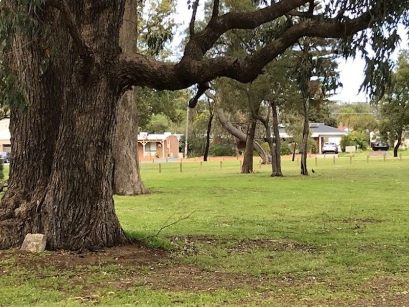 6 Rigel Street, Mandurah WA 6210