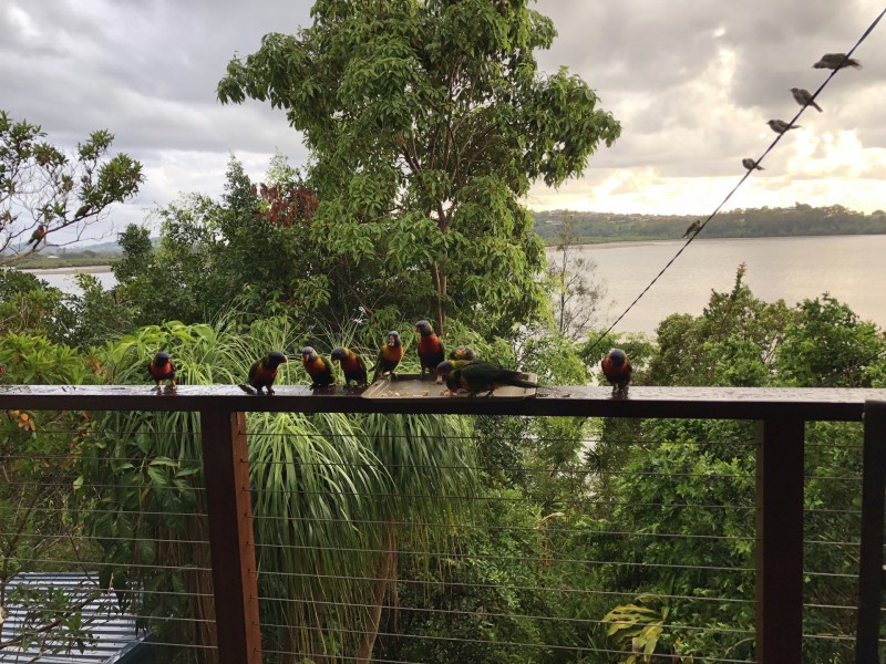 136 Broadwater Esplanade, Bilambil Heights NSW 2486