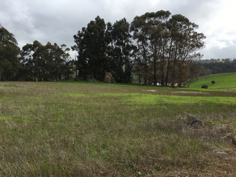 46 Sunridge Drive, Bridgetown WA 6255