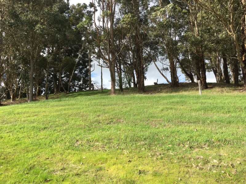 46 Sunridge Drive, Bridgetown WA 6255
