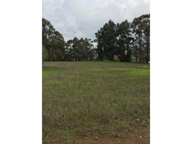 46 Sunridge Drive, Bridgetown WA 6255
