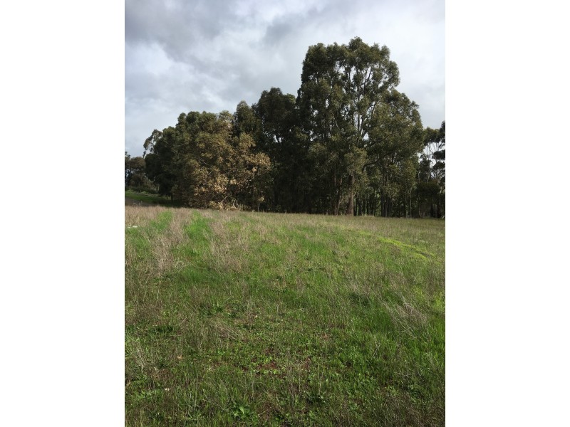 46 Sunridge Drive, Bridgetown WA 6255