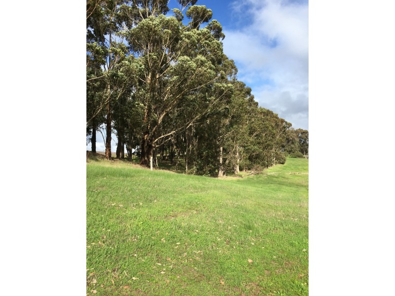 46 Sunridge Drive, Bridgetown WA 6255