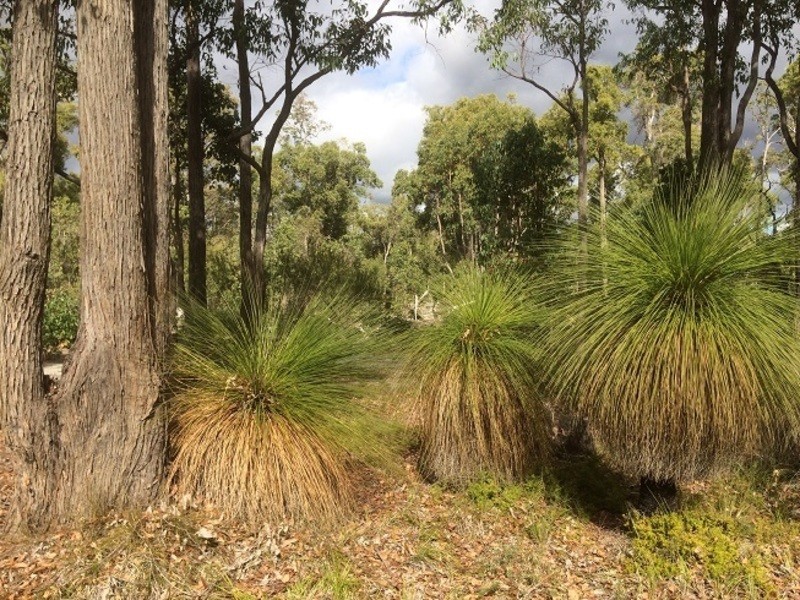 831 Hurst Road, Argyle WA 6239