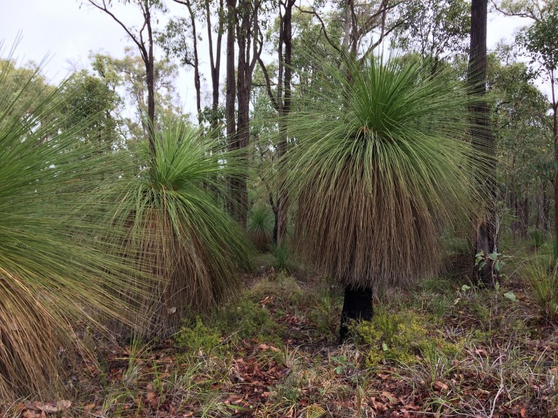 831 Hurst Road, Argyle WA 6239