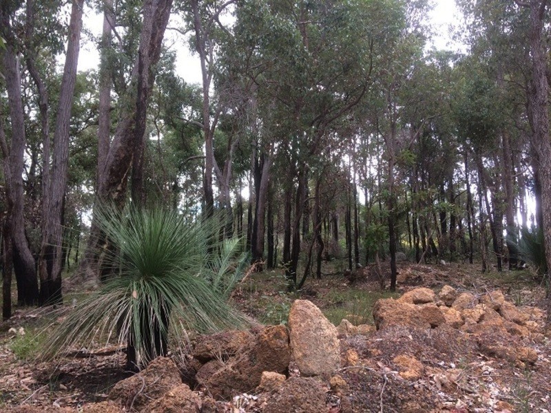 831 Hurst Road, Argyle WA 6239