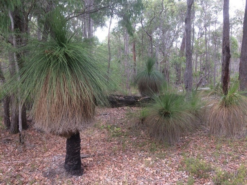 831 Hurst Road, Argyle WA 6239