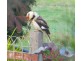 363 Stapledons Road, Dadswells Bridge VIC 3385