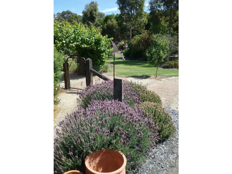 363 Stapledons Road, Dadswells Bridge VIC 3385