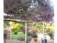 363 Stapledons Road, Dadswells Bridge VIC 3385