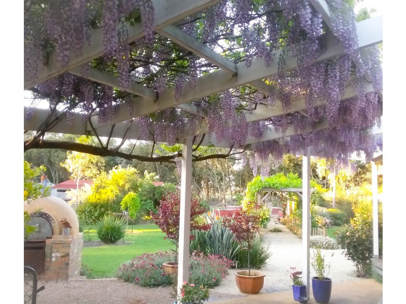 363 Stapledons Road, Dadswells Bridge VIC 3385