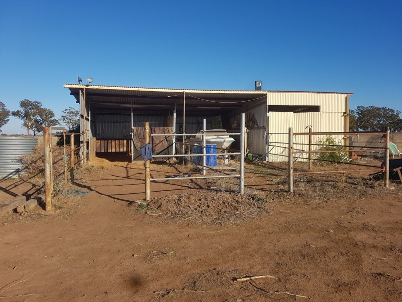 115 Villeneuve Drive, Narromine NSW 2821