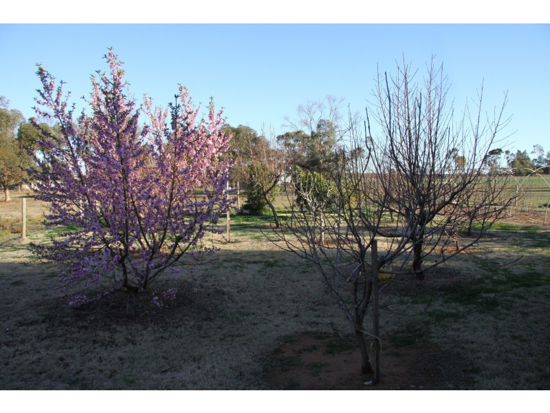 26 Konnung Street, Red Cliffs VIC 3496