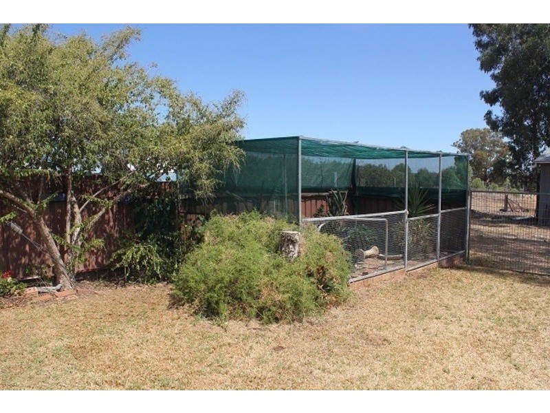 174 Caswell Street, Peak Hill NSW 2869