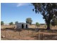174 Caswell Street, Peak Hill NSW 2869