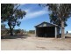 174 Caswell Street, Peak Hill NSW 2869