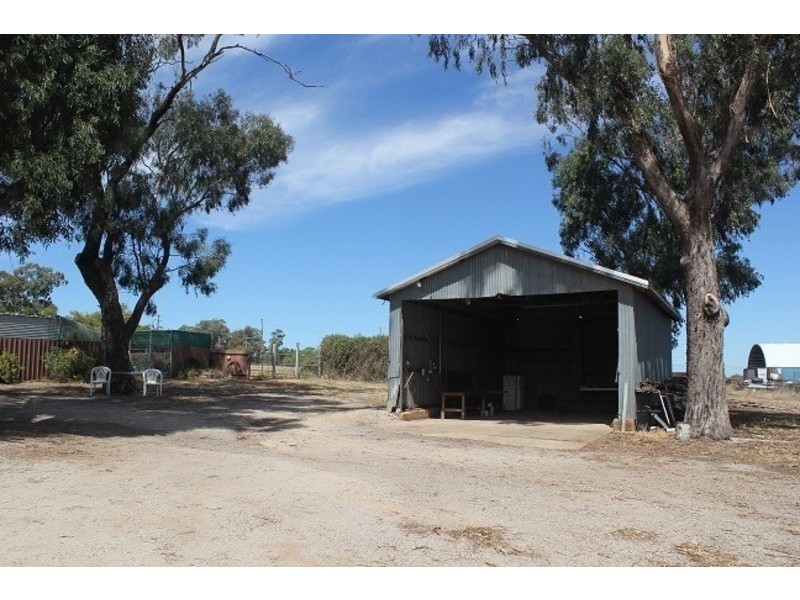 174 Caswell Street, Peak Hill NSW 2869