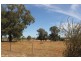 174 Caswell Street, Peak Hill NSW 2869
