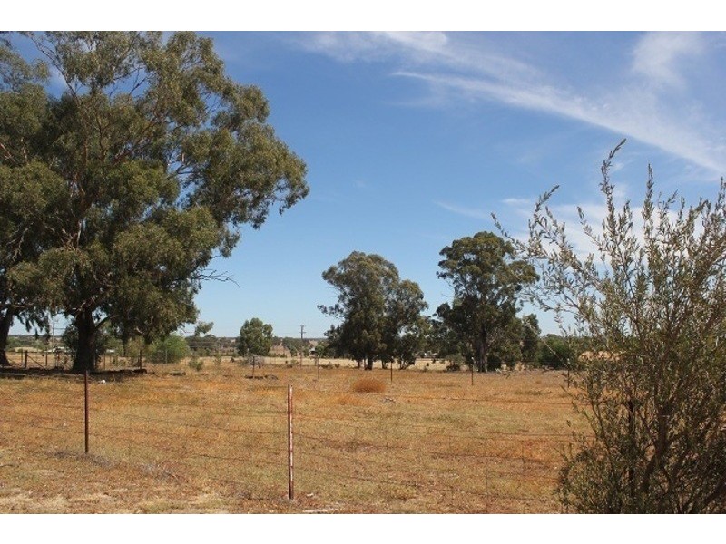 174 Caswell Street, Peak Hill NSW 2869