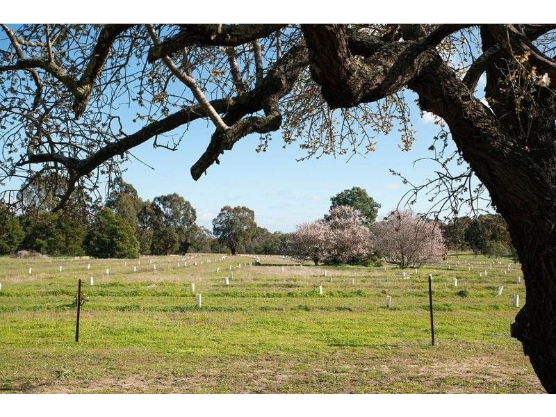 118 Burrong Basin Road, Black Range VIC 3381