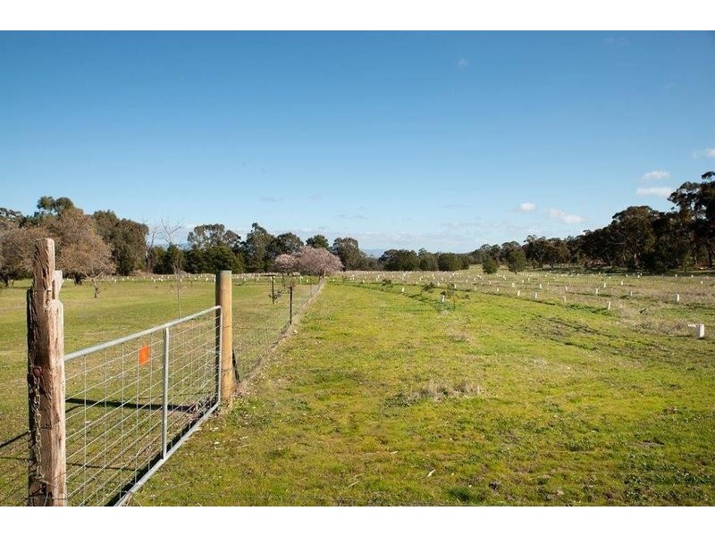 118 Burrong Basin Road, Black Range VIC 3381