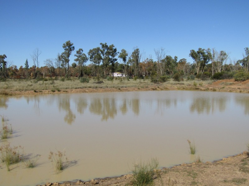 163 Goranba Lane, Goranba QLD 4421