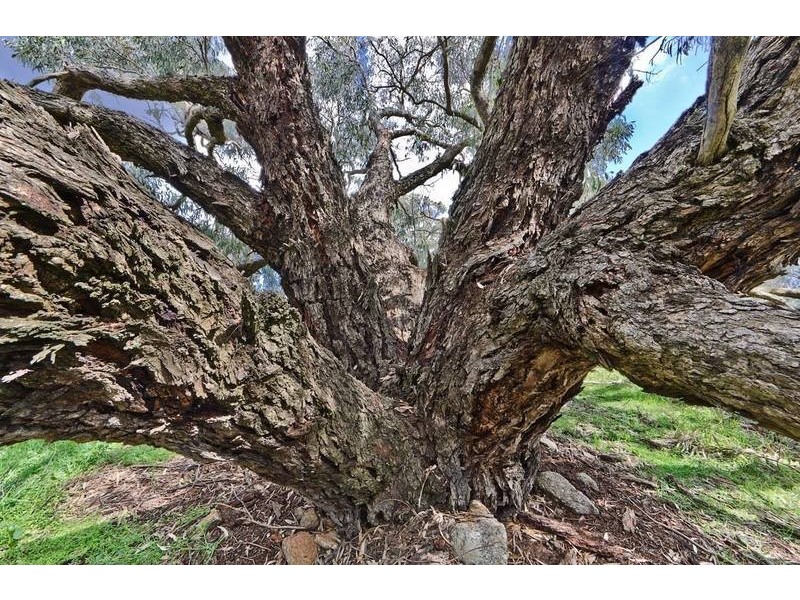 Lot 6 Clements Road, Woodstock NSW 2793