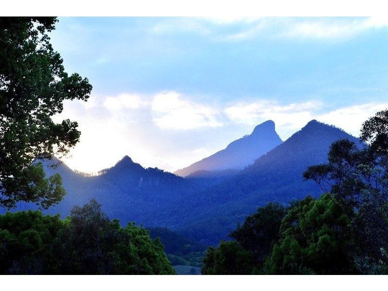 42 Meadow Place, Uki NSW 2484