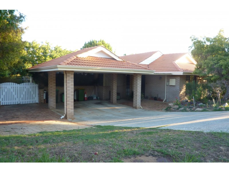 7 Ruddick Place, Hamilton Hill WA 6163