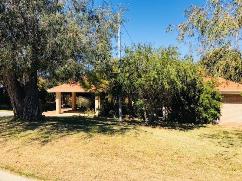 7 Ruddick Place, Hamilton Hill WA 6163